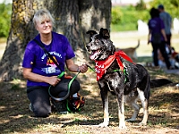 Adoptuj Warszawiaka  Wydarzenie promujące adopcję zwierząt. Organizator: Schronisko dla Bezdomnych Zwierząt "Na Paluchu". 18 sierpnia 2019, Park Raszyński w Raszynie. : park raszyński, adoptuj warszawiaka, na paluchu, schronisko dla zwierząt, centrum warszawy, raszyn